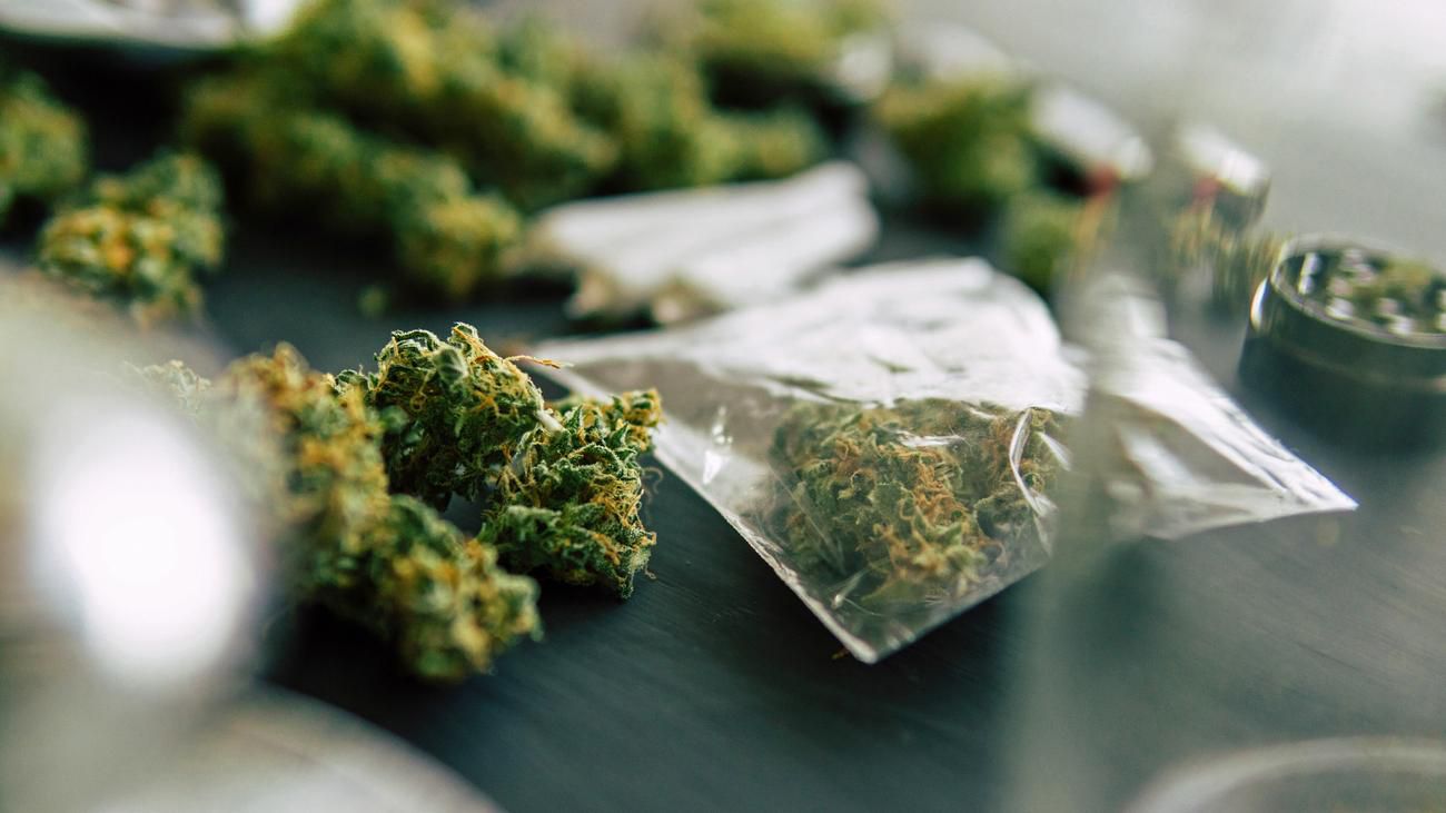 Dealer zur Cannabislegalisierung: Guten Tag, Herr Dealer