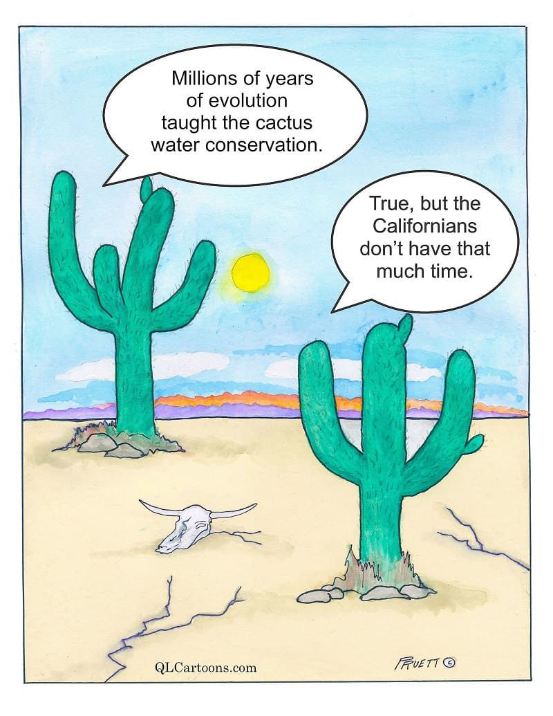 Cactus talks to another about water conservation as goat sinks into the earth - Water Conservation Problems