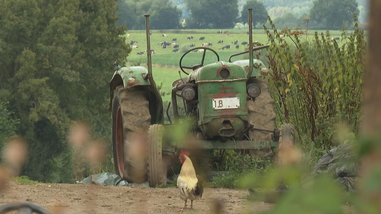 Belgische Lösung gegen Höfesterben