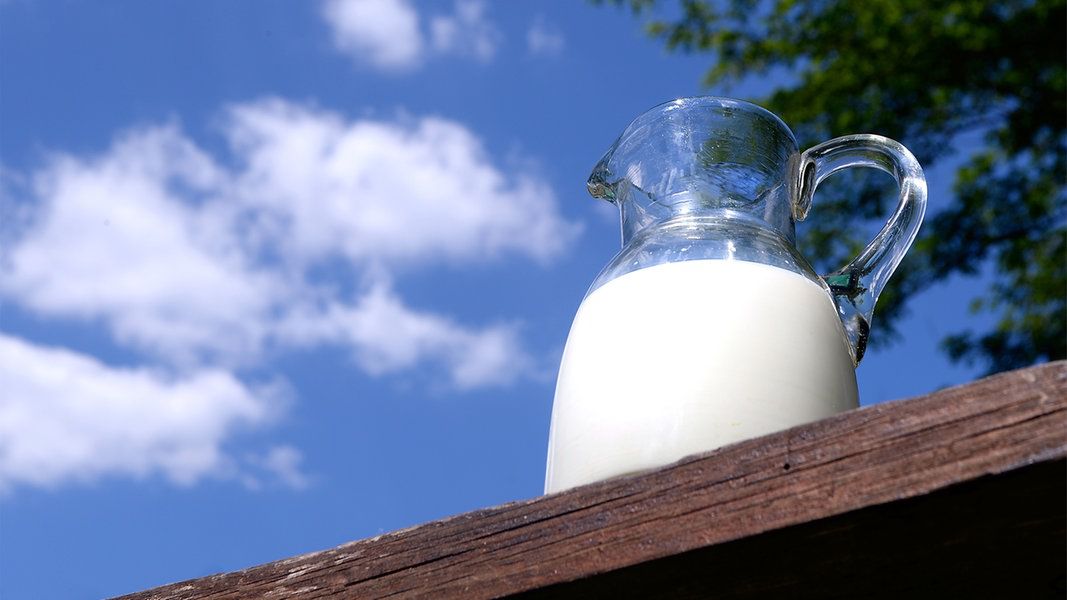 Synapsen Podcast: Milch: ungesund - umweltschädlich - unvermeidbar?