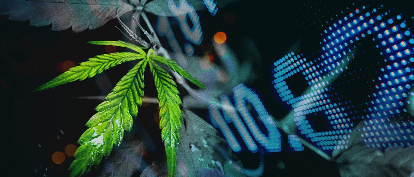 Marijuana Weekly Investor Roundup (August 25th)