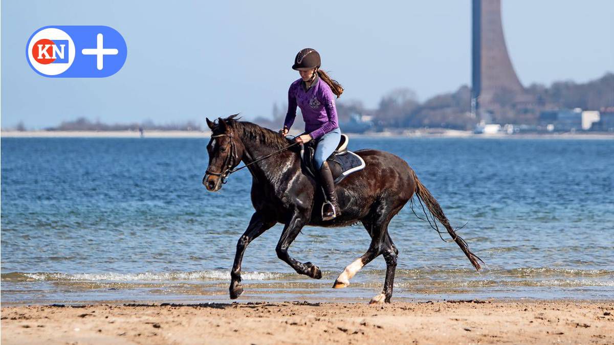 Wann und wo mit dem Pferd am Strand reiten in SH erlaubt ist
