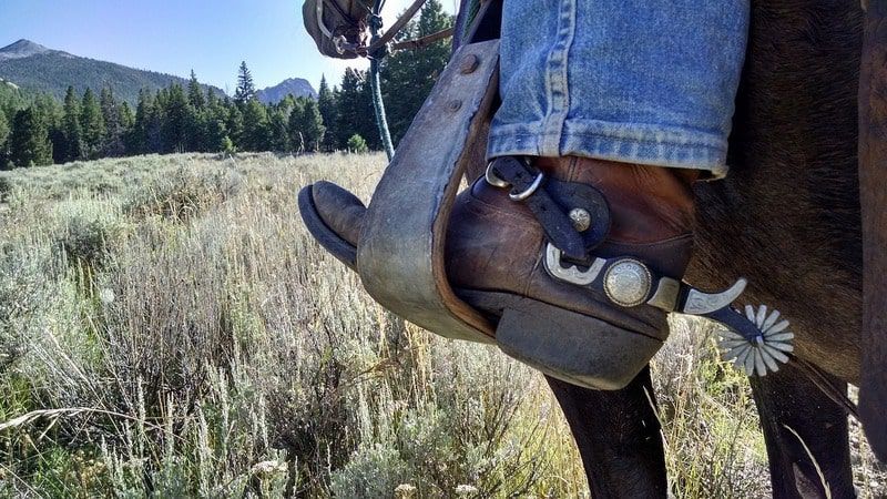 TO RIDE IS TO MEDITATE: My week as a cowboy on a ranch