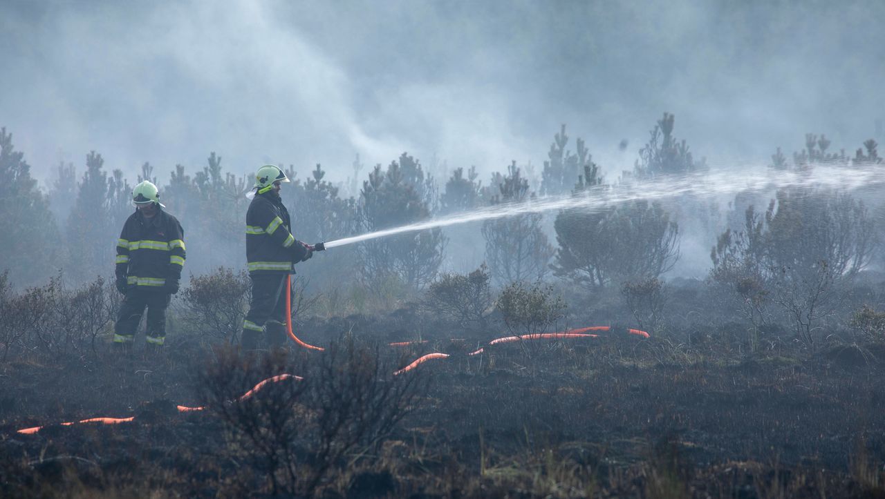 (S+) Investitionen in Prävention: Wie man Waldbrände mit Geld am besten bekämpft