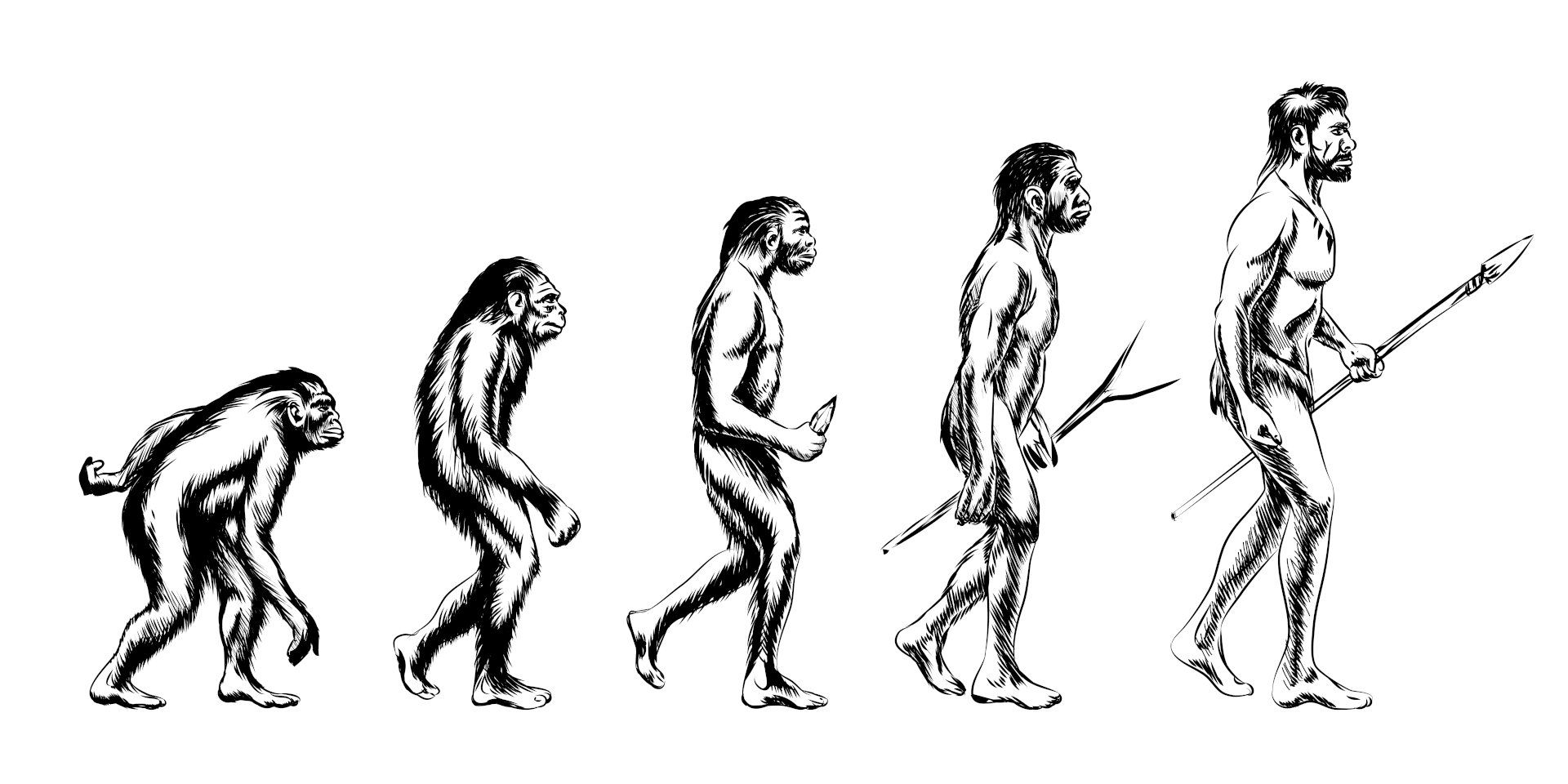 Forschungsquartett | Evolutionsbiologie heute 