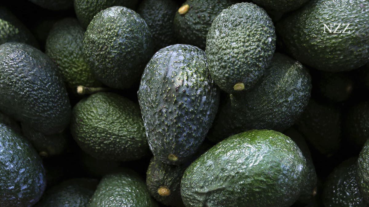 Kurz vor dem Super Bowl: USA stoppen Avocado-Einfuhren aus Mexiko