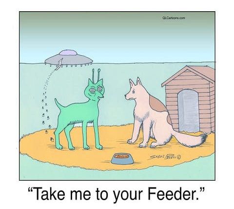 Take Me to Your Feeder