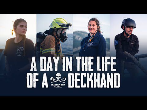 A Day in the Life of a Sea Shepherd Deckhand