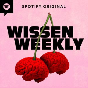 Podcast | Wissen Weekly: Was hilft gegen Kater?