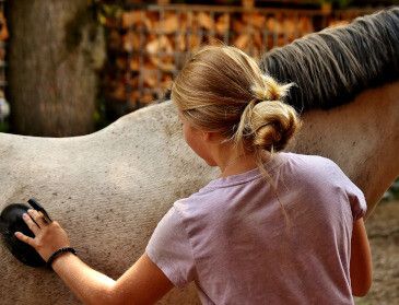 Reitbeteiligung: Wer sich ein Pferd teilt, muss sich doppelt absichern!