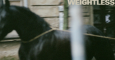 Neues vom Musikmarkt: Arlo Parks “Weightless“