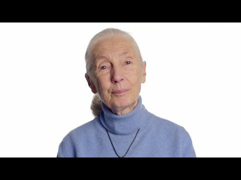 #6 im Gespräch mit: Jane Goodall