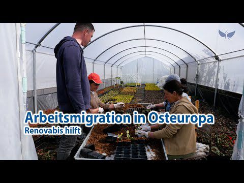Arbeitsmigration in Osteuropa