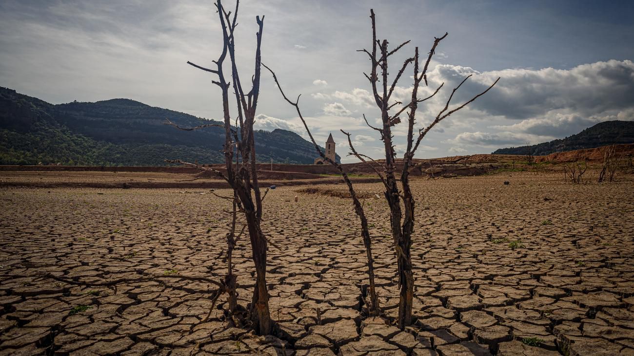 Dürre in Spanien: Mit aller Macht gegen das Verdursten