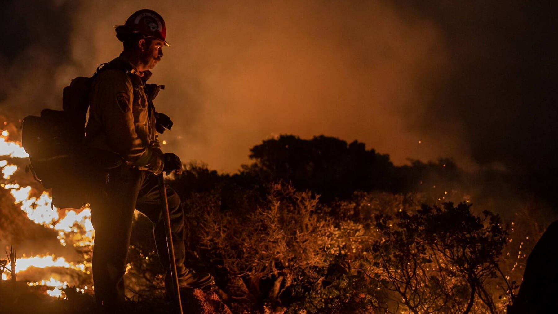 Waldbrände: So entsteht "Feuerwetter"