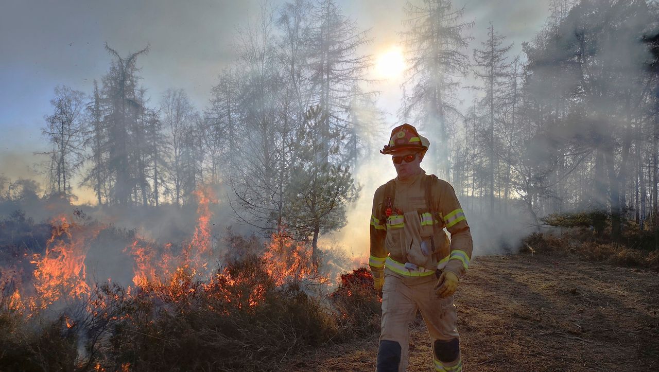 (S+) Waldbrände: Wie Feuerwehrkräfte sich auf Extremsituationen vorbereiten