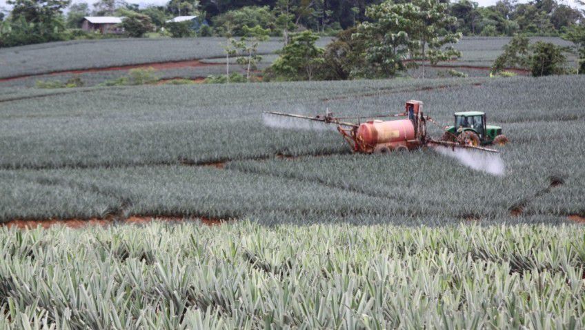 Costa Rica mit weltweit höchstem Verbrauch von Pestiziden