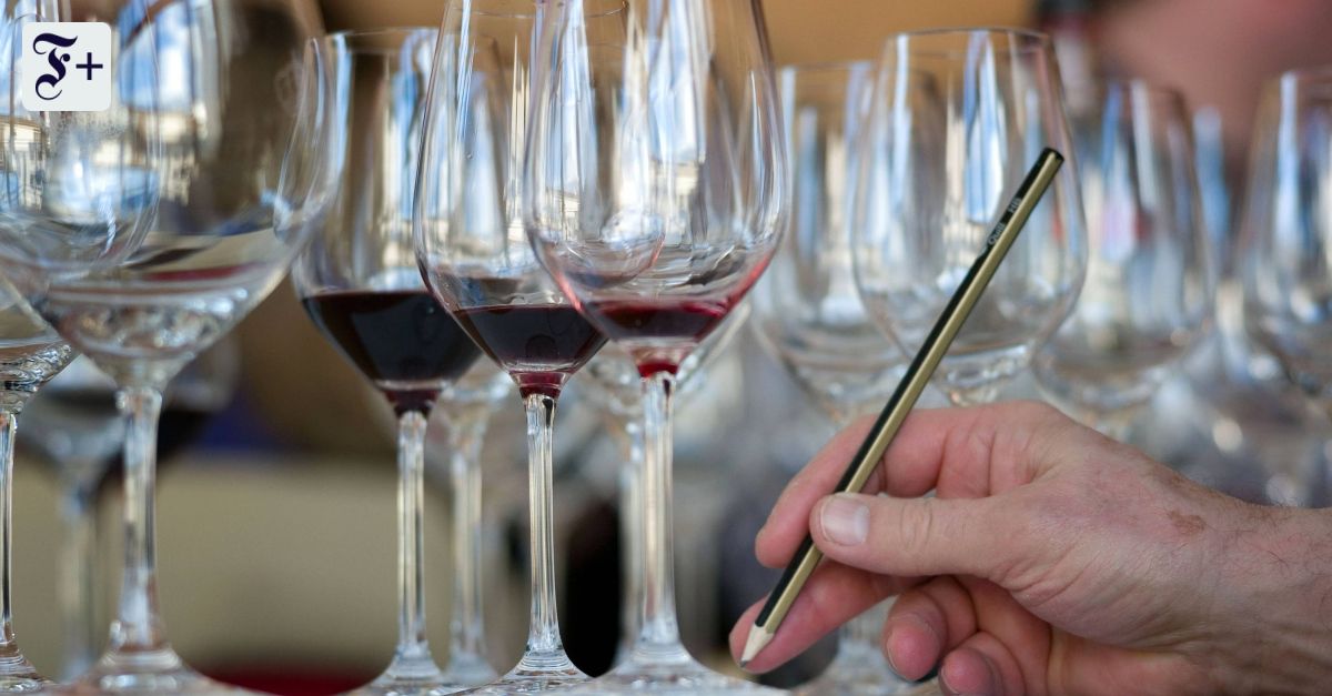 Ein Jahr als Sommelière: "Billiger Wein wird total unterschätzt"