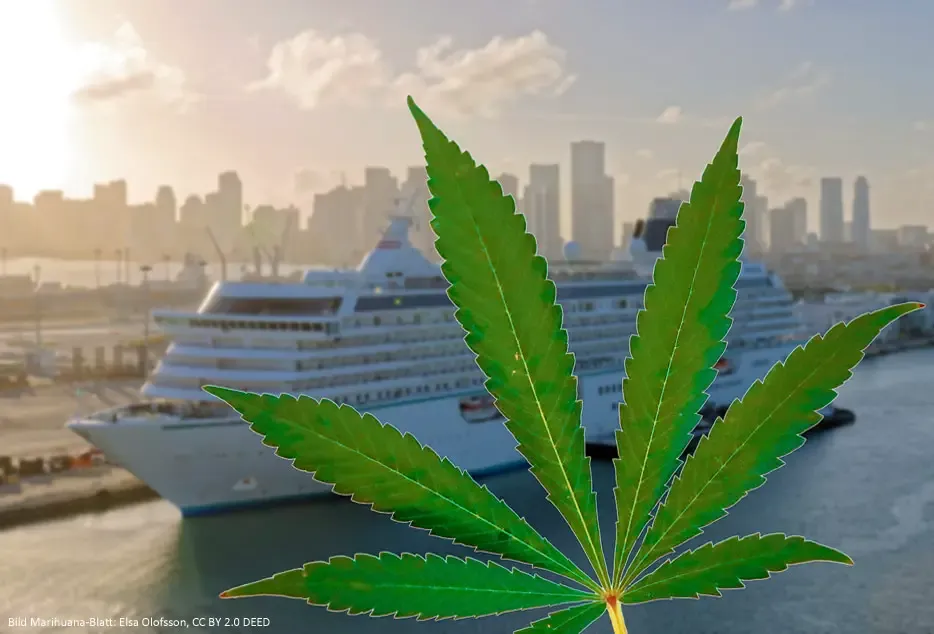 Cannabis auf Kreuzfahrtschiffen weiterhin nicht erlaubt