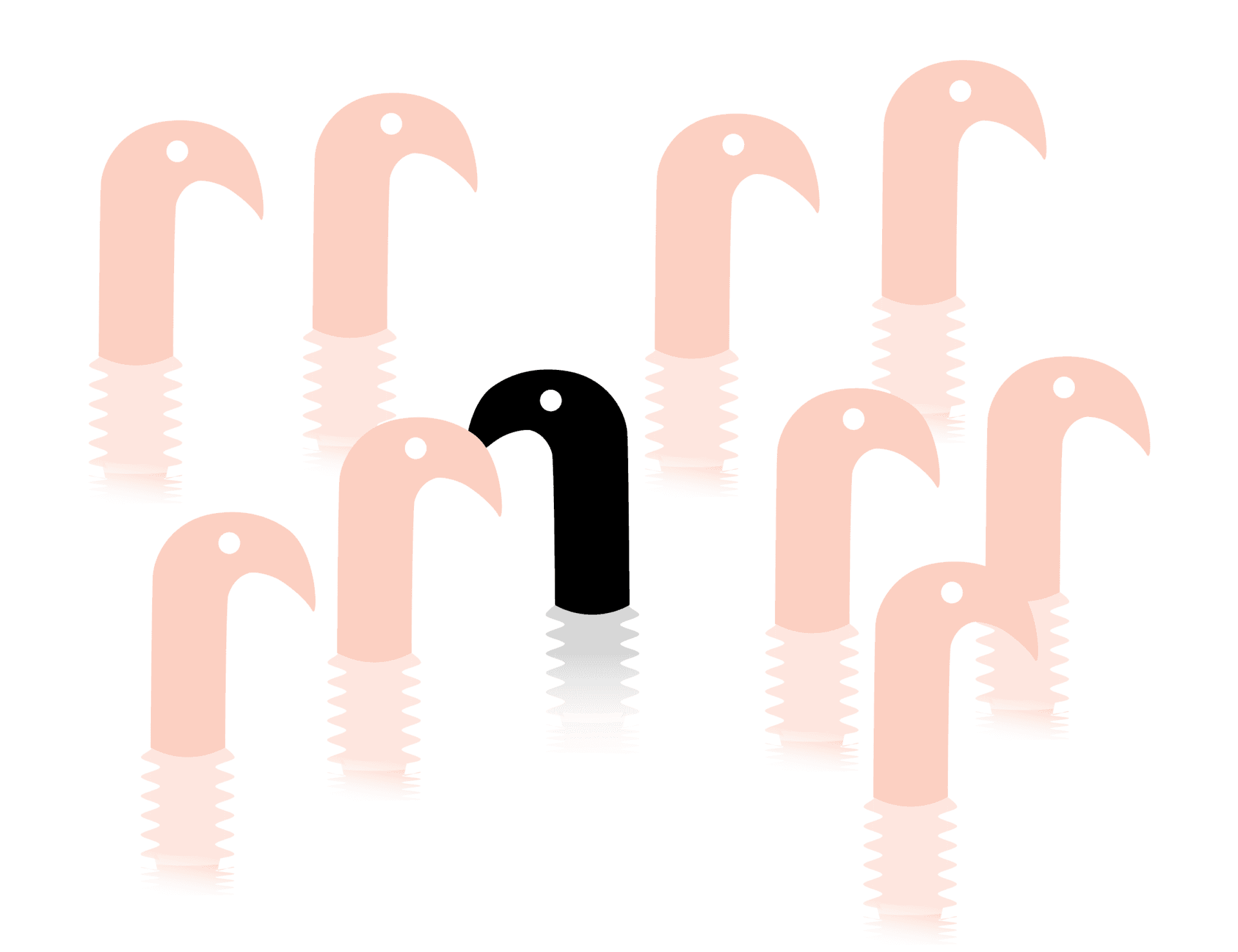 Symbolik & Zypern: Schwarzer Flamingo, Phänomen erklärt!