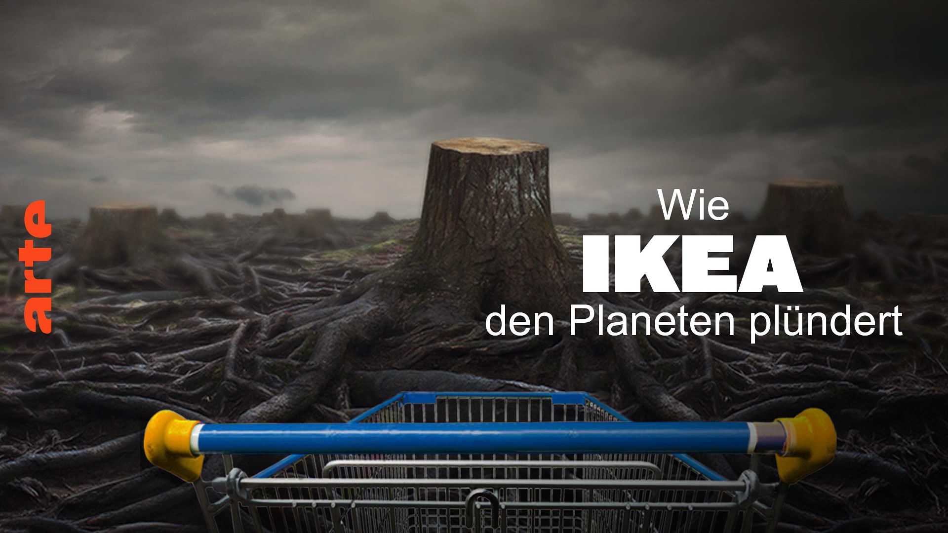 Wie Ikea den Planeten plündert - Die ganze Doku | ARTE