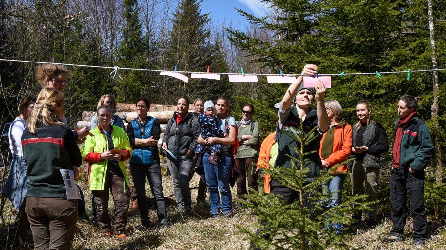 Bad Tölz-Wolfratshausen: Wie wird der Wald weiblicher?