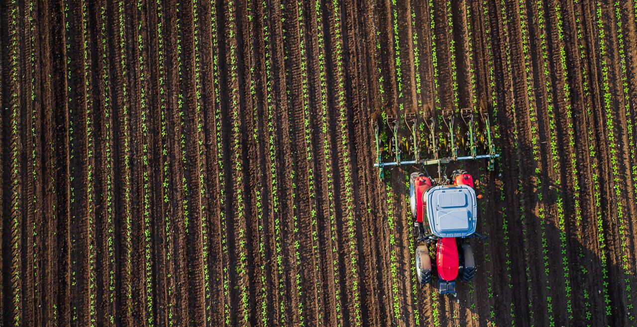 „Carbon Farming": Die Klima-Wunderwaffe in der Landwirtschaft?
