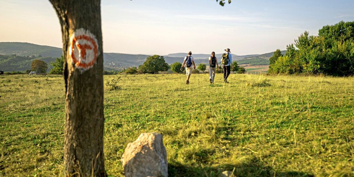 Wiederbelebung rumänischer Dörfer durch Meilensteinweg