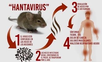 Is Hantavirus is much risky then Coronavirus: Causes, Treatment & Prevention