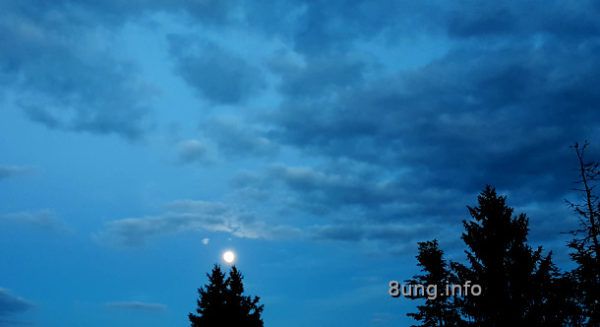 Mai-Vollmond über einer Fichte, Wolken am blauen Abendhimmel