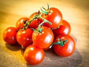 Tomaten düngen - wie und womit richtig?