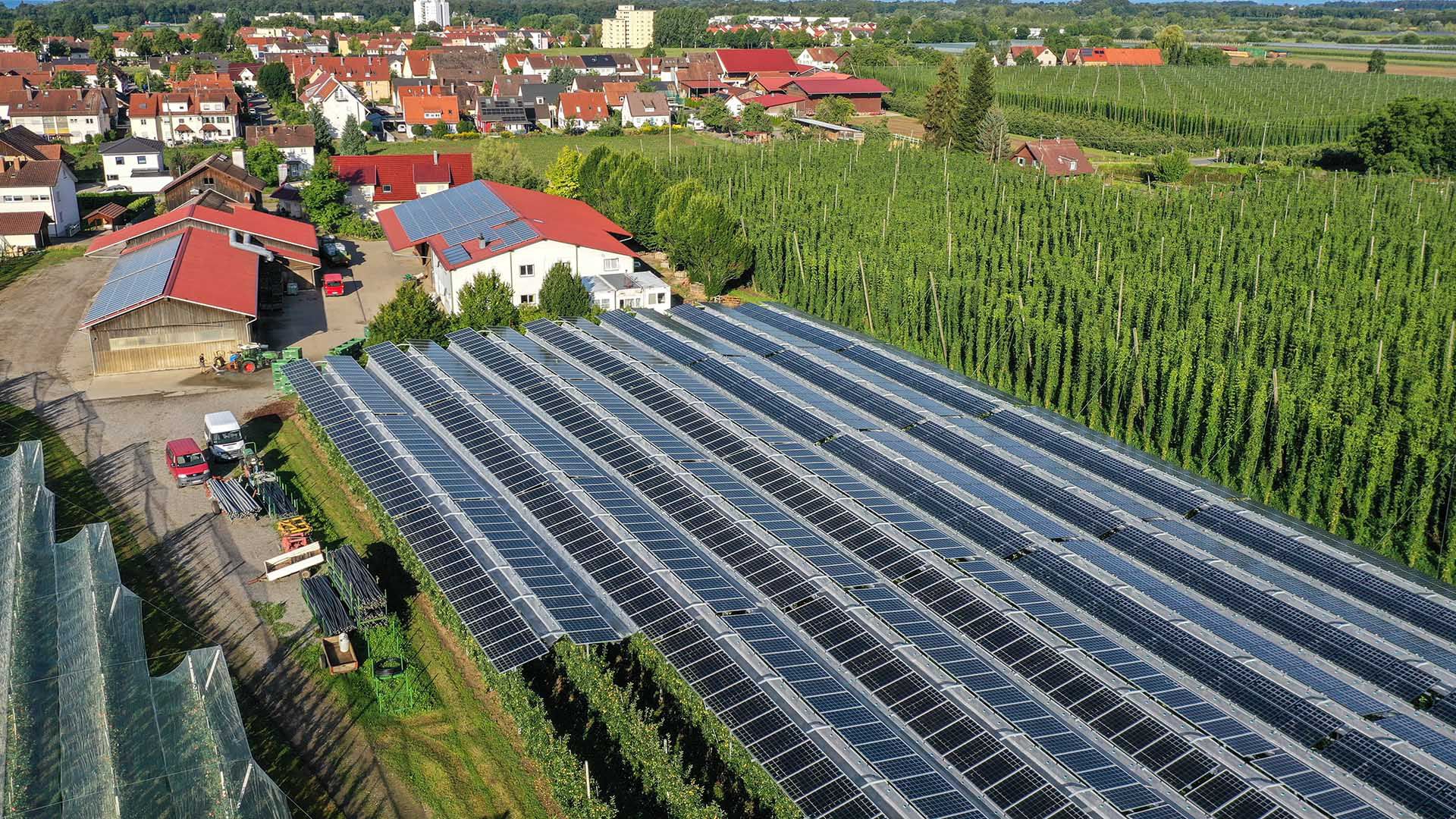 Erneuerbare Energien: Doppelte Ernte mit Agri-Photovoltaik