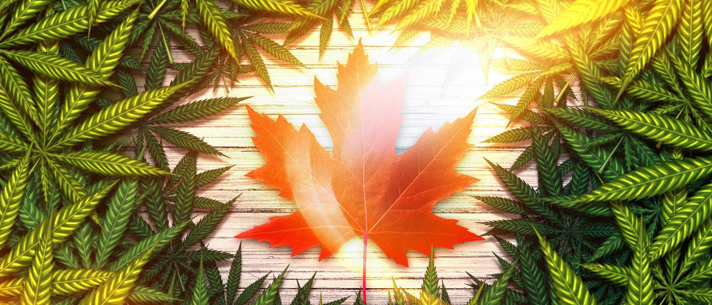 Cannabis Regulation - Does Canada Want to Look Like Colorado or Oregon?