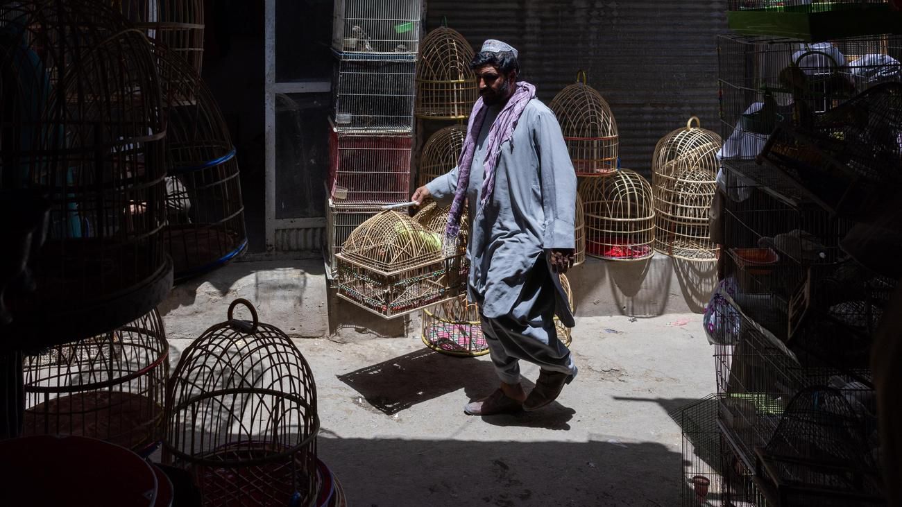 Afghanistan: Nur noch Brot und Reis