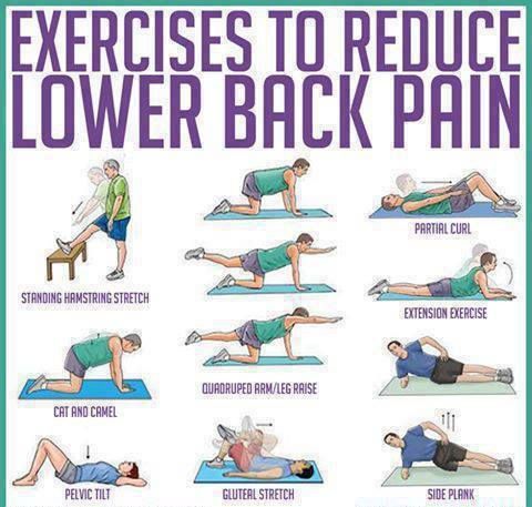 Stretching for Back Pain Relief  Yoga for back pain, Lower back pain  exercises, Back pain relief