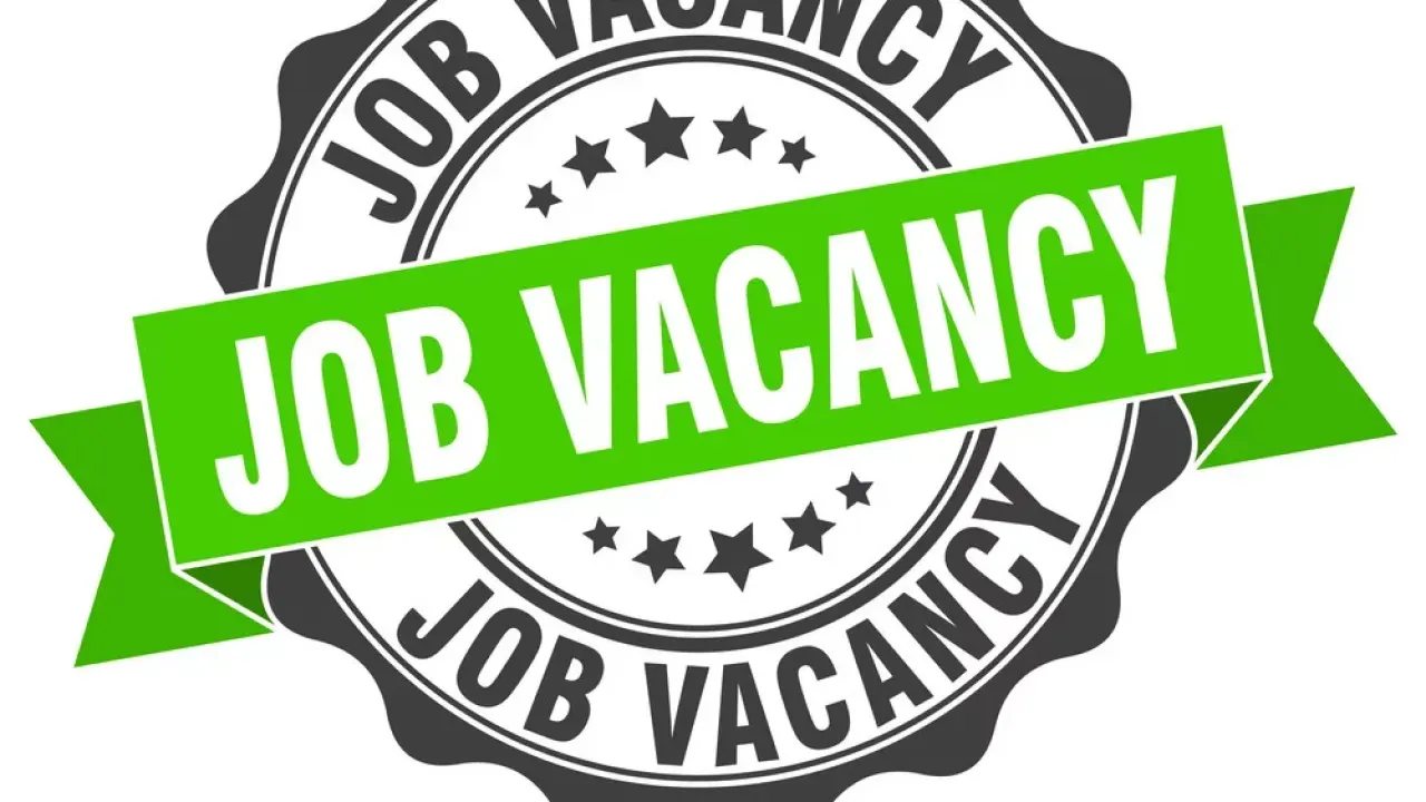 Job vacancy: Finance and Business Content Writer Need
