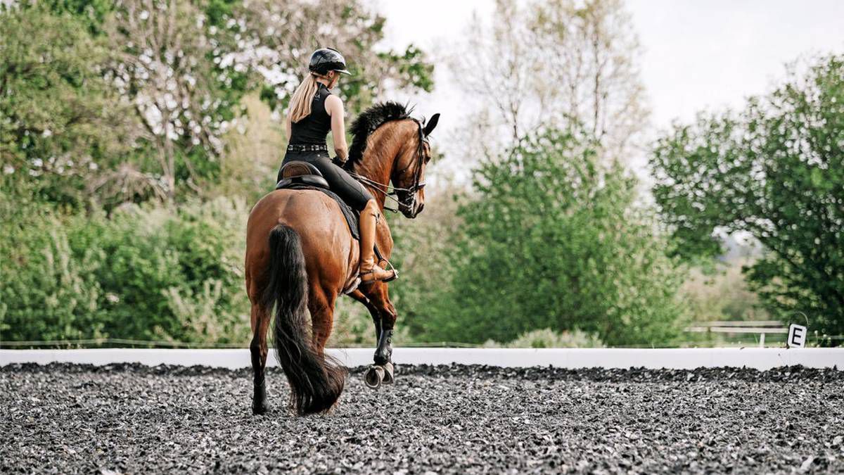 Mode rund ums Pferd: Das tragen Reiterinnen und Reiter diesen Sommer