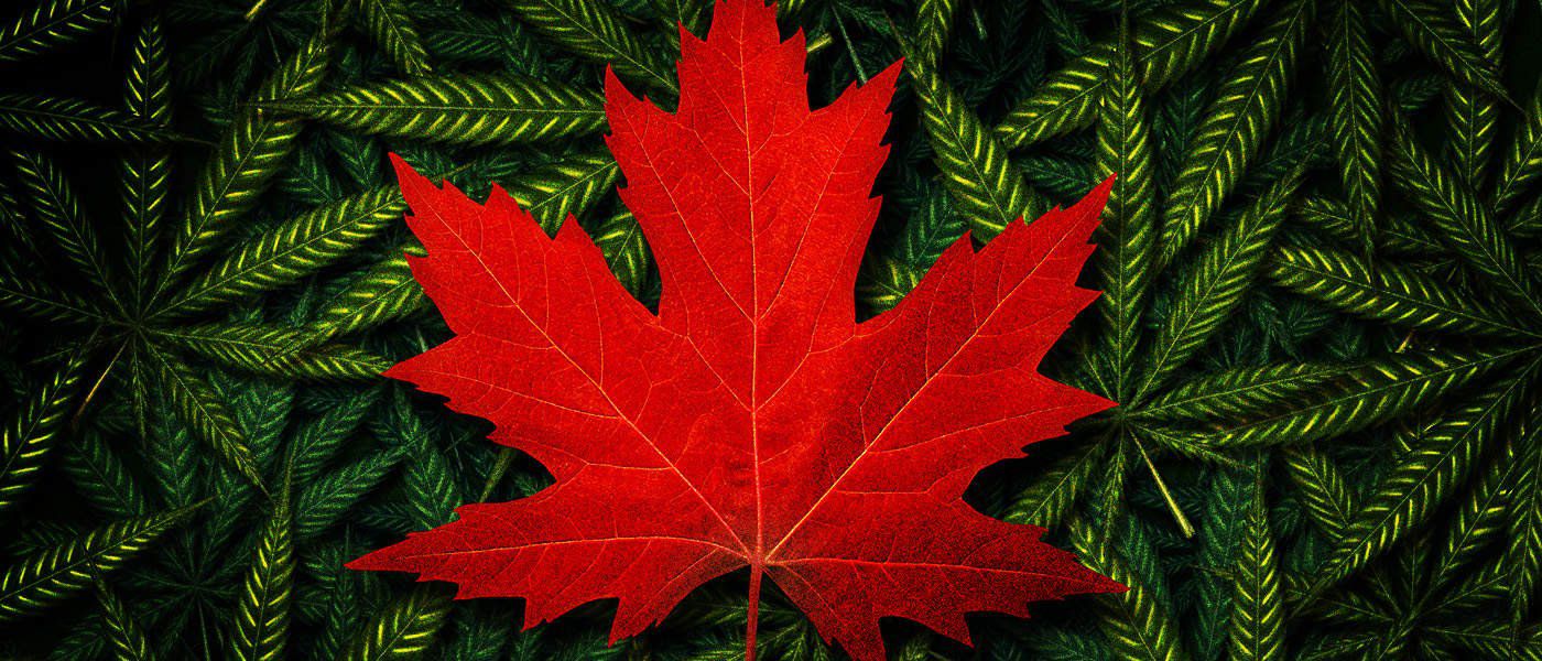 Canada's Marijuana Legalization - A Complete Guide