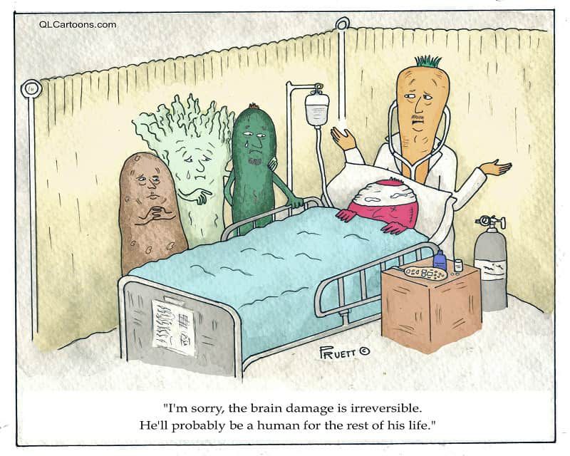 A vegetable has incurred brain damage and will remain a human for the rest of his life - The brain damage is irreversible
