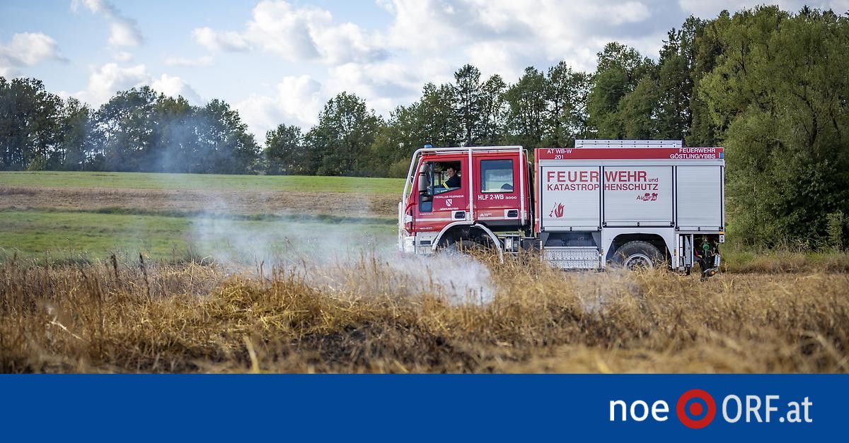 32 neue Löschfahrzeuge gegen Waldbrände