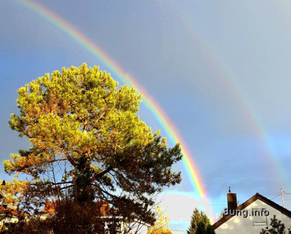 Wetter im November - doppelter regenbogen hinter einem Baum