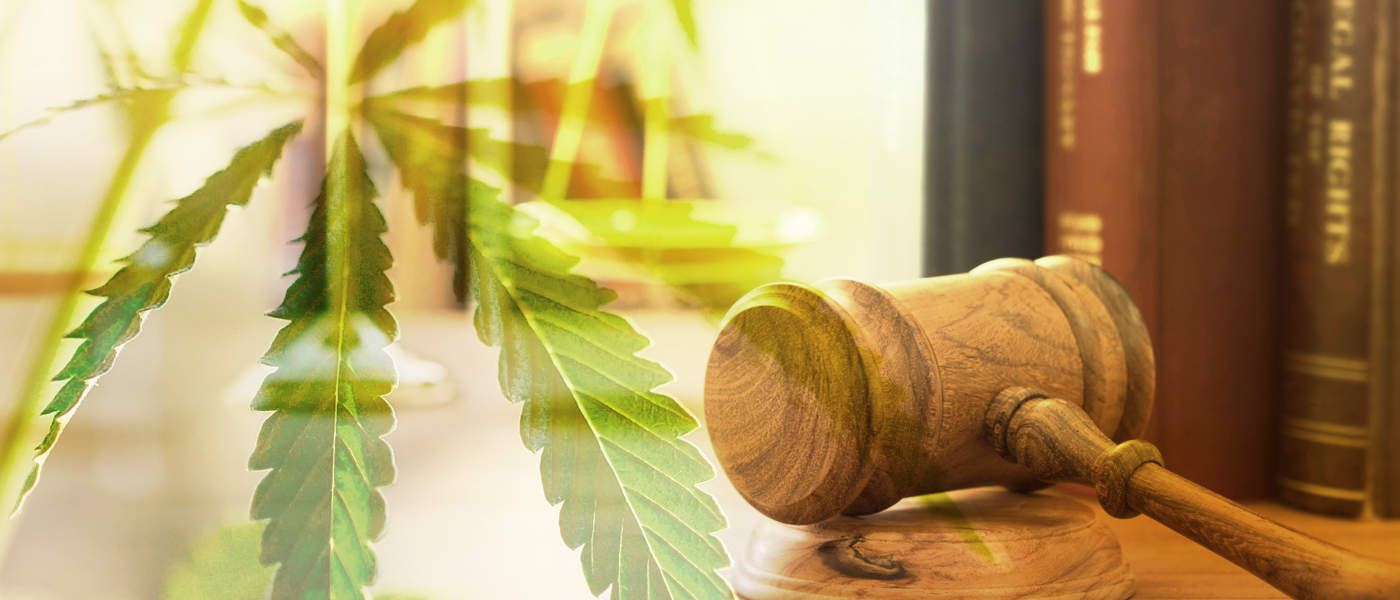 New York's Marijuana Legalization Proposal May Be Revealed in January 2019