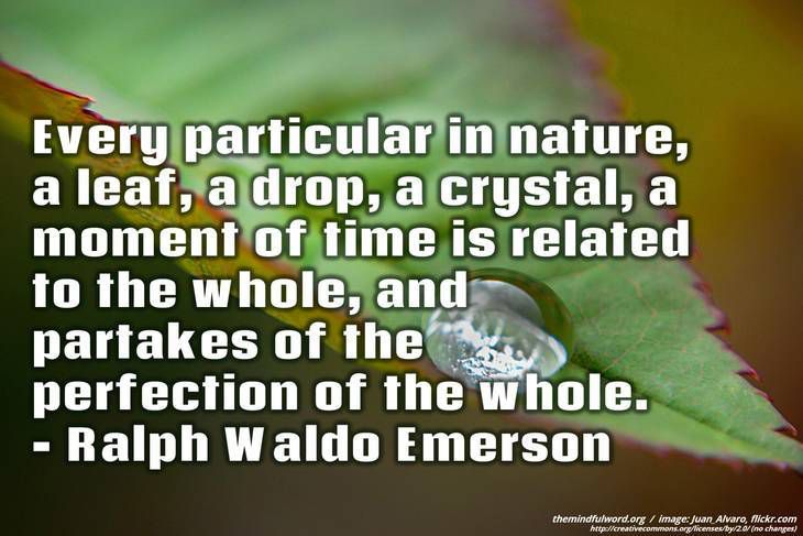 Leaf with water drop - Earth day quotes