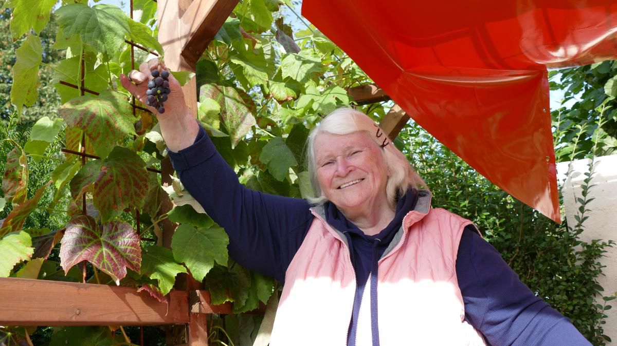 Dankbar für Gemeinschaft, Naturerleben und Weinernte - Erntedank im Seniorengarten | SHZ