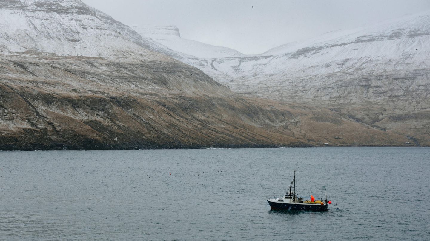 Die Färöer brauchen Fisch – auch aus russischen Gewässern. Doch die Kritik an dem Abkommen wird immer lauter