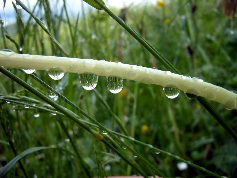 40-Seiten-Ratgeber: „Wie tickt der Wassermann?"