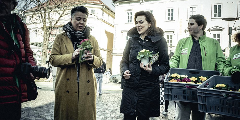 „Ihr Klima-Affen!" - Hartes grünes Pflaster in Kärnten - zackzack.at