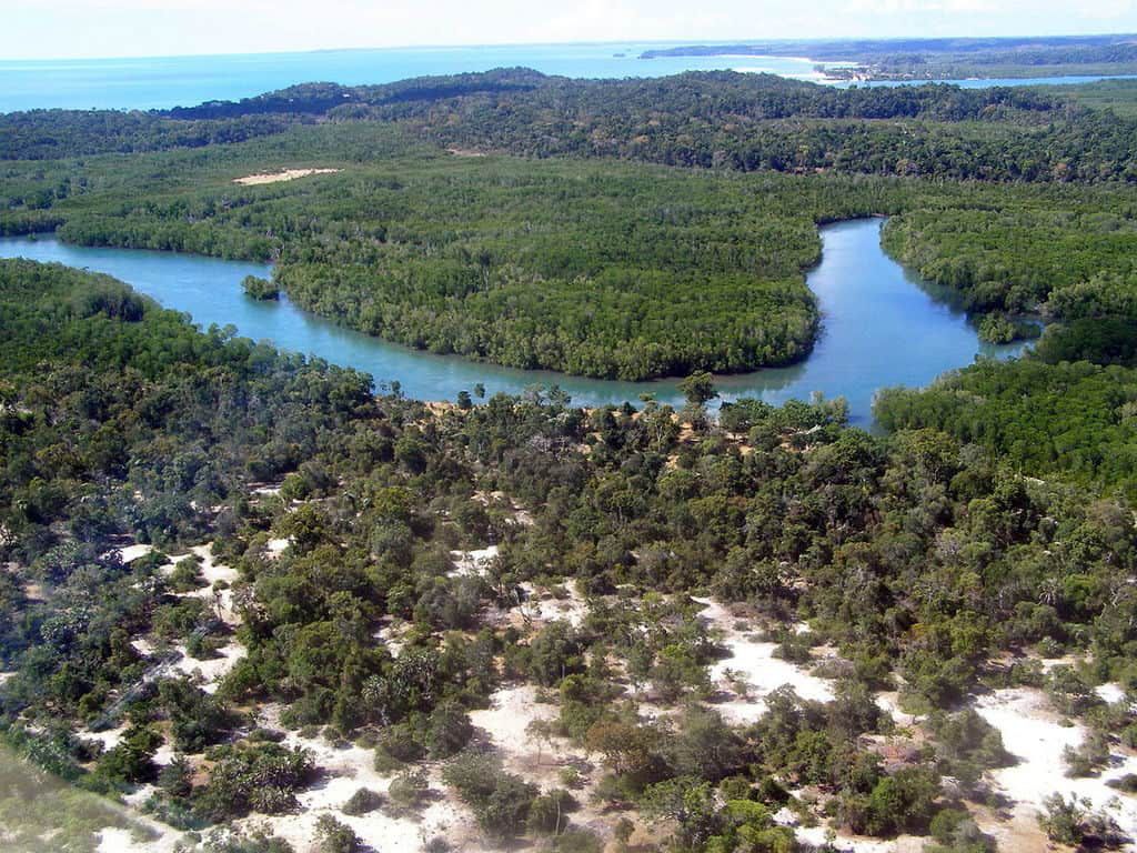 a portion of the Anjajavy Forest with river winding through it
