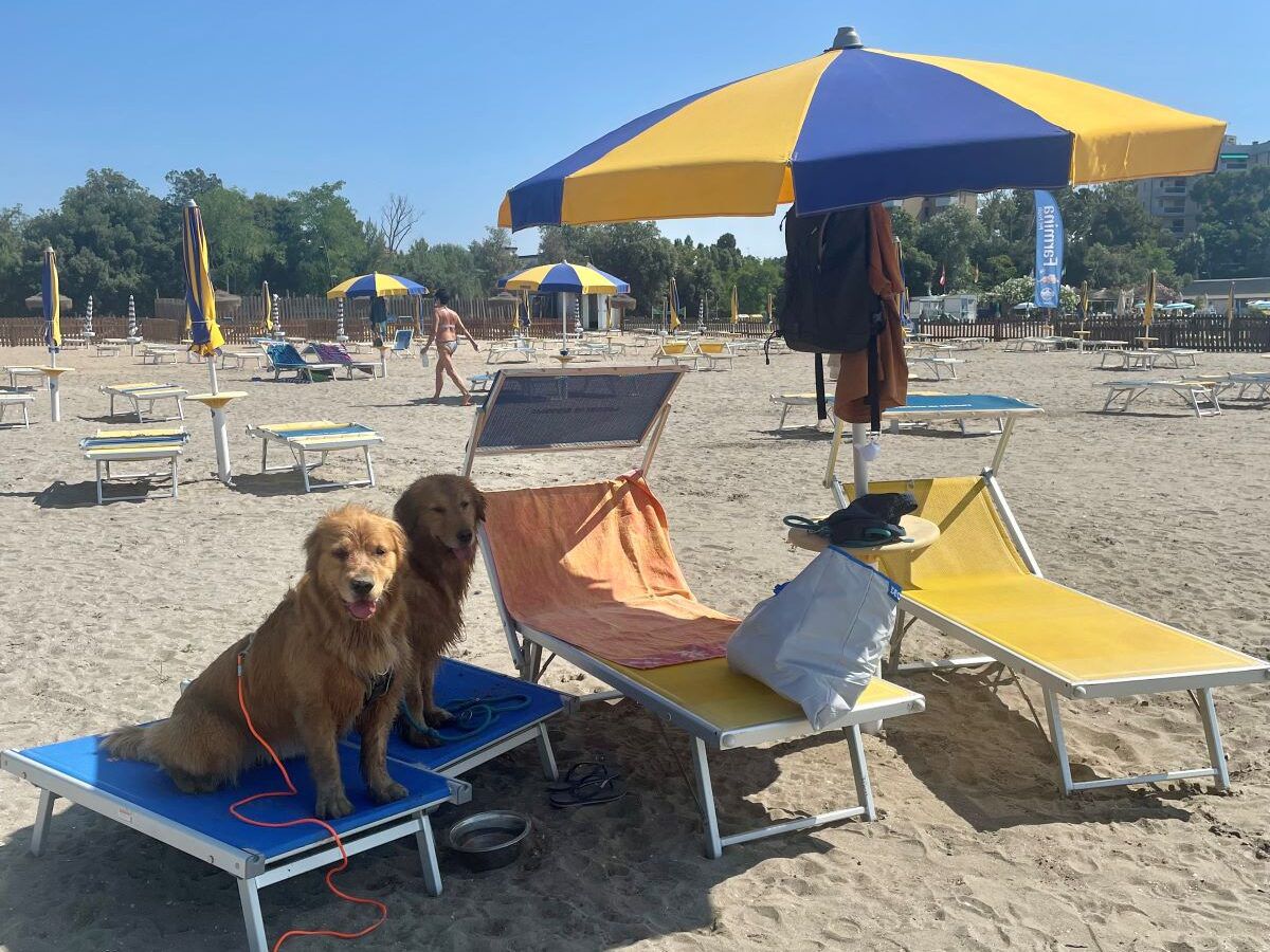 Der Hundestrand in Grado: Willkommen am Snoopy Beach
