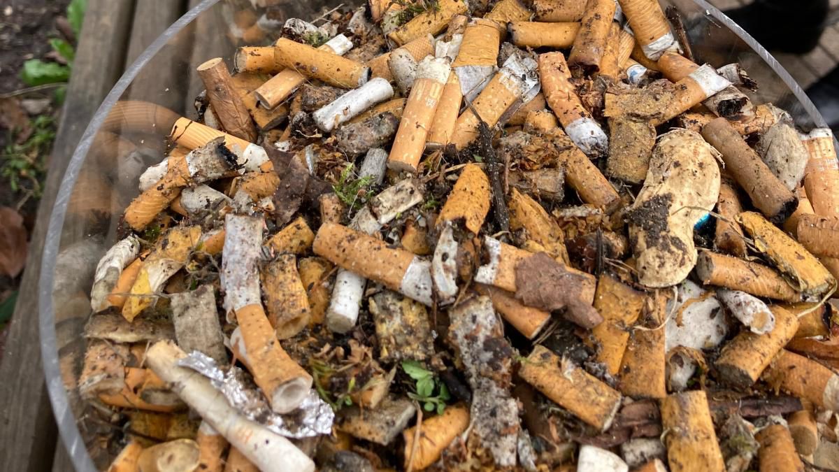 Zigaretten-Müll: Wie Kippen auf unseren Tellern landen könnten | SHZ
